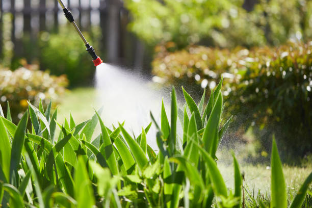 24/7 Emergency Fumigation Services experts in Atascadero, CA
