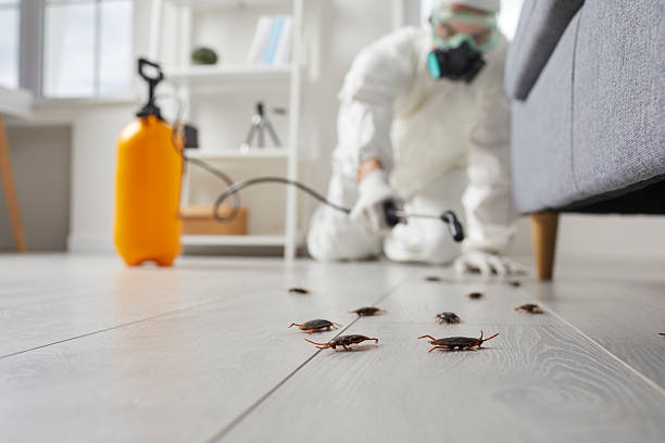Trusted Cockroach Control service in Atascadero, CA - Nex Pest Control